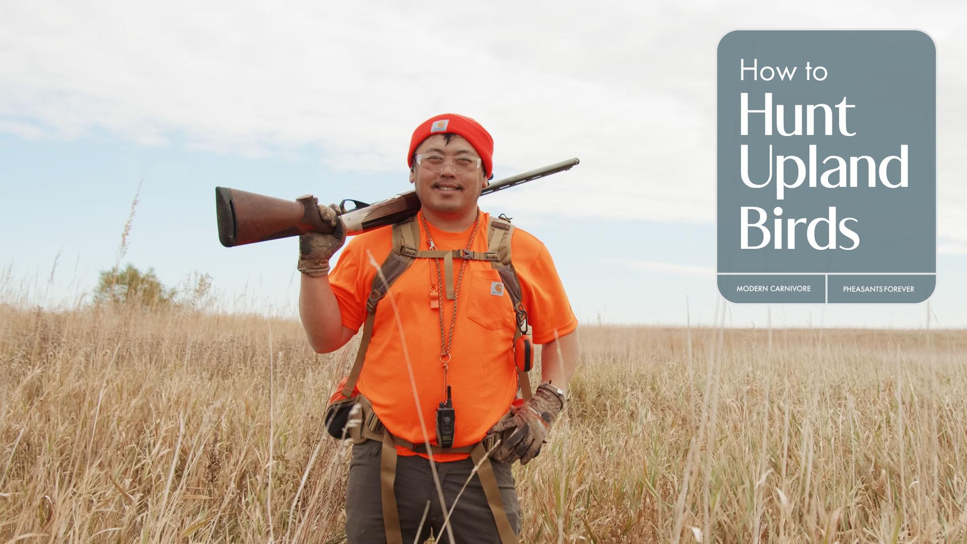 How To Hunt Upland Birds