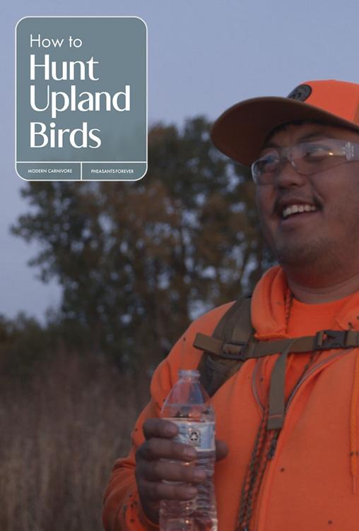 How To Hunt Upland Birds